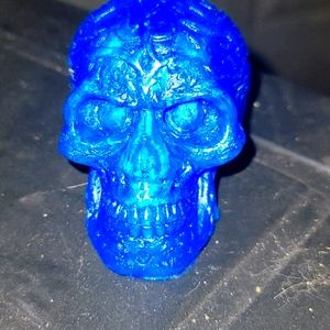 Resin skull